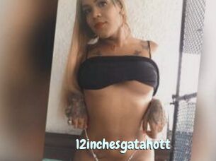 12inchesgatahott