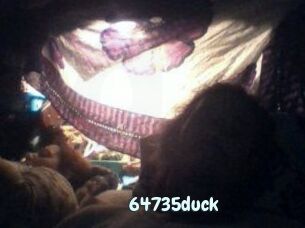 64735duck