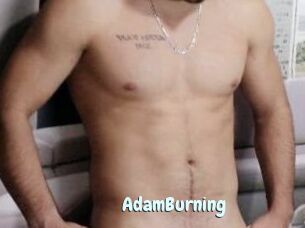 AdamBurning