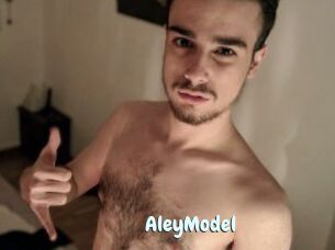 AleyModel