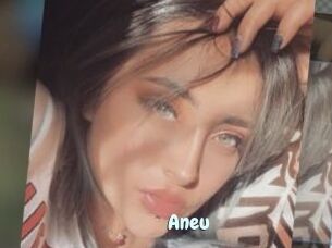 Aneu