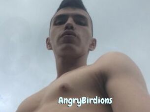AngryBirdions
