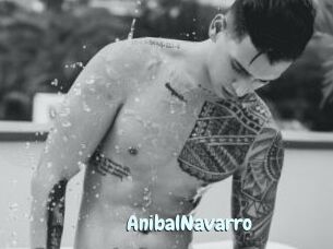 AnibalNavarro