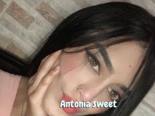 Antonia_sweet
