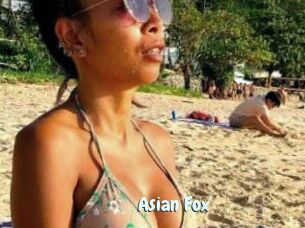Asian_Fox