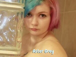 Aster_Grey