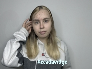 Accadavidge