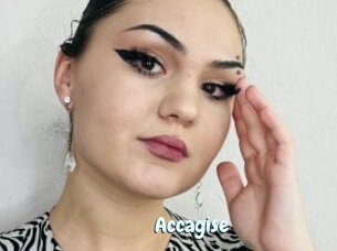 Accagise