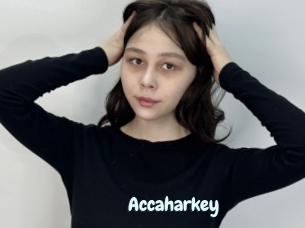 Accaharkey