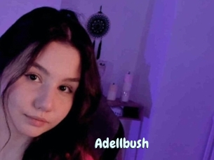 Adellbush