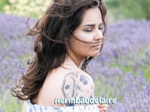 Aerinbaudelaire