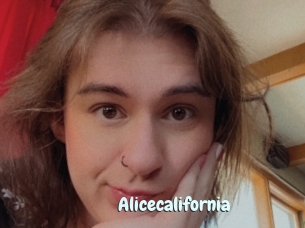 Alicecalifornia