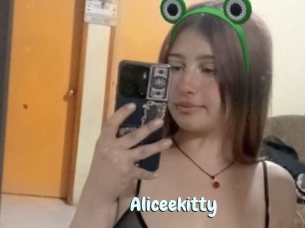 Aliceekitty