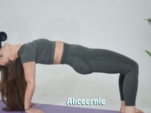 Aliceernle