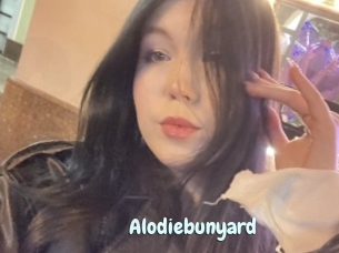 Alodiebunyard