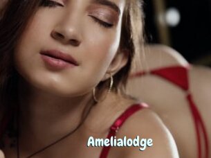 Amelialodge