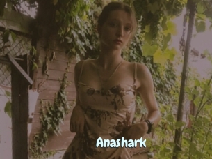 Anashark