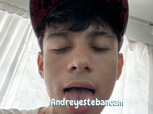 Andreyestebancam