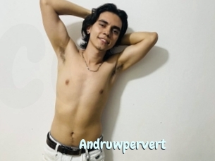 Andruwpervert