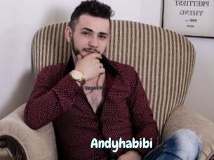 Andyhabibi