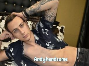Andyhandsome