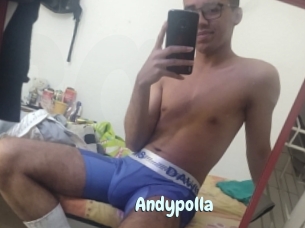Andypolla