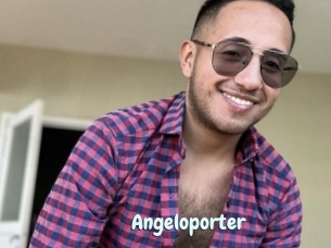 Angeloporter