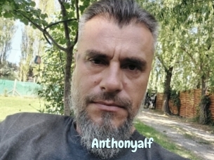 Anthonyalf