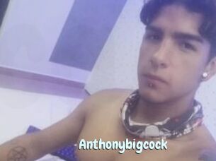 Anthonybigcock
