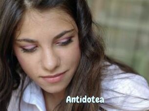 Antidotea
