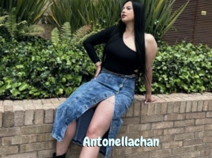 Antonellachan