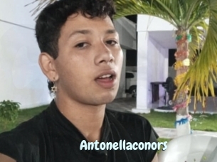 Antonellaconors