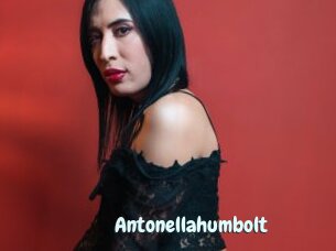 Antonellahumbolt