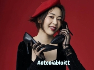 Antoniabluitt