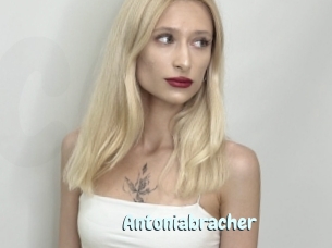 Antoniabracher