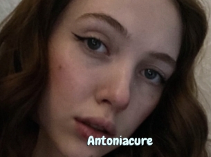 Antoniacure