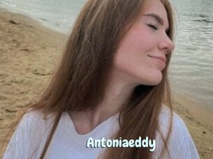 Antoniaeddy