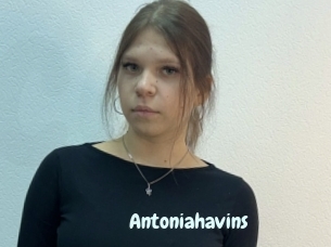 Antoniahavins