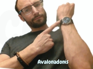 Avalonadonis