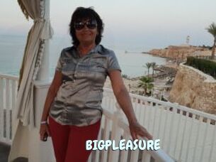 BIGPLEASURE