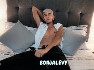 BORJALEVY