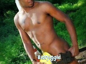BidDjiggle