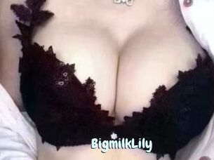 BigmilkLily