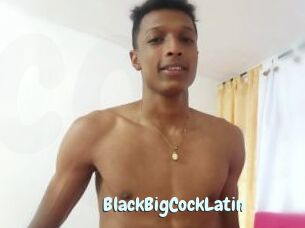 BlackBigCockLatin