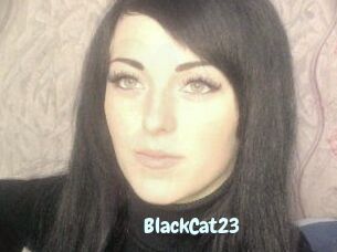 BlackCat23