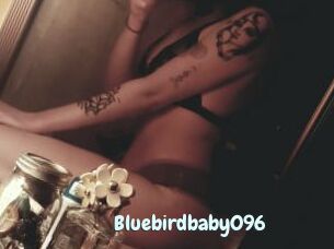 Bluebirdbaby096