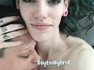 BoytoiHybrid