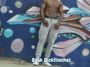 Brak_Dick11inches