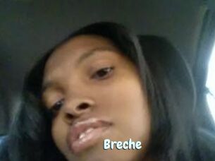 Breche