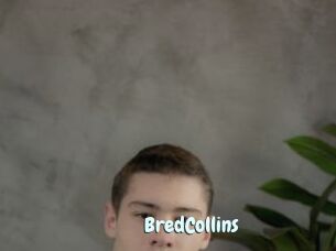 BredCollins
